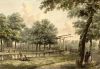 Nieuwe Prinsengracht in de Plantage, Jurriaan Andriessen, ca. 1785 Nieuwe Prinsengracht in de Plantage, Jurriaan Andriessen, ca. 1785