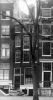 Brouwersgracht 37 in 1943