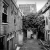 Egelantiersstraat 24