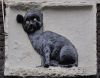 Gevelsteen DE SWARTE KATER